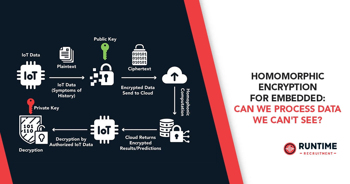 Homomorphic-Encryption-for-Embedded-Can-We-Process-Data-We-Cant-See